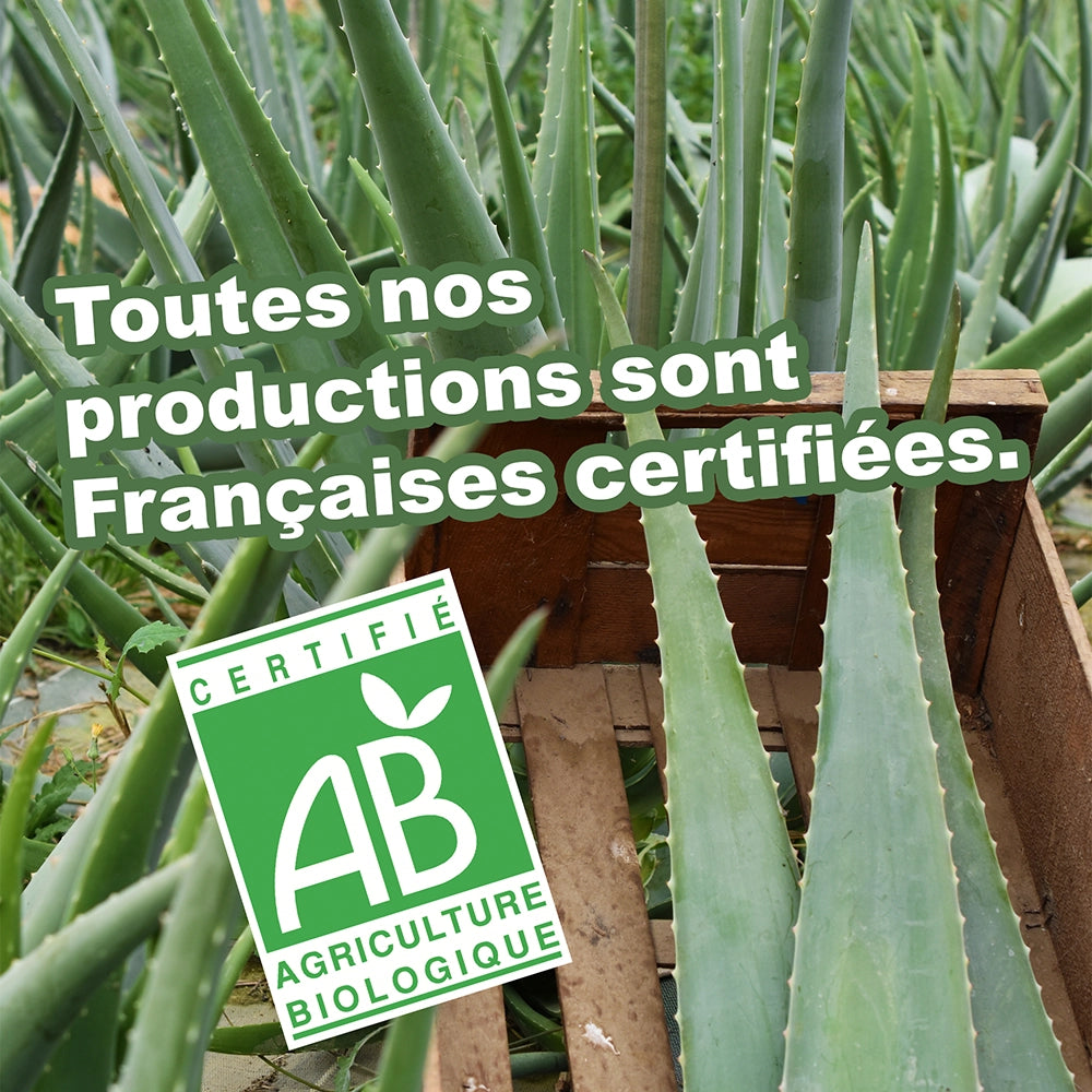 Gel Sérénité (Airless)